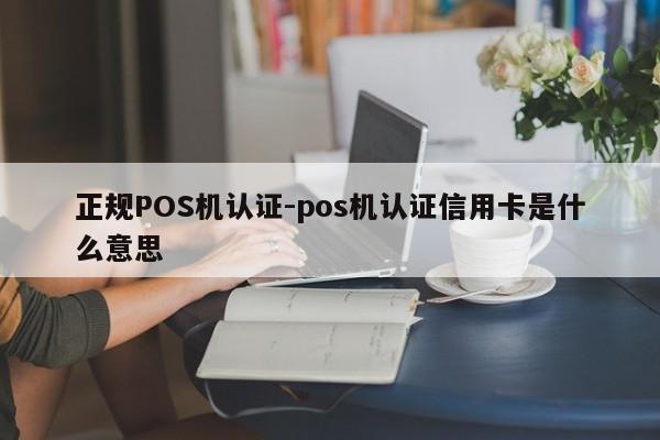 红桥正规POS机认证-pos机认证信用卡是什么意思